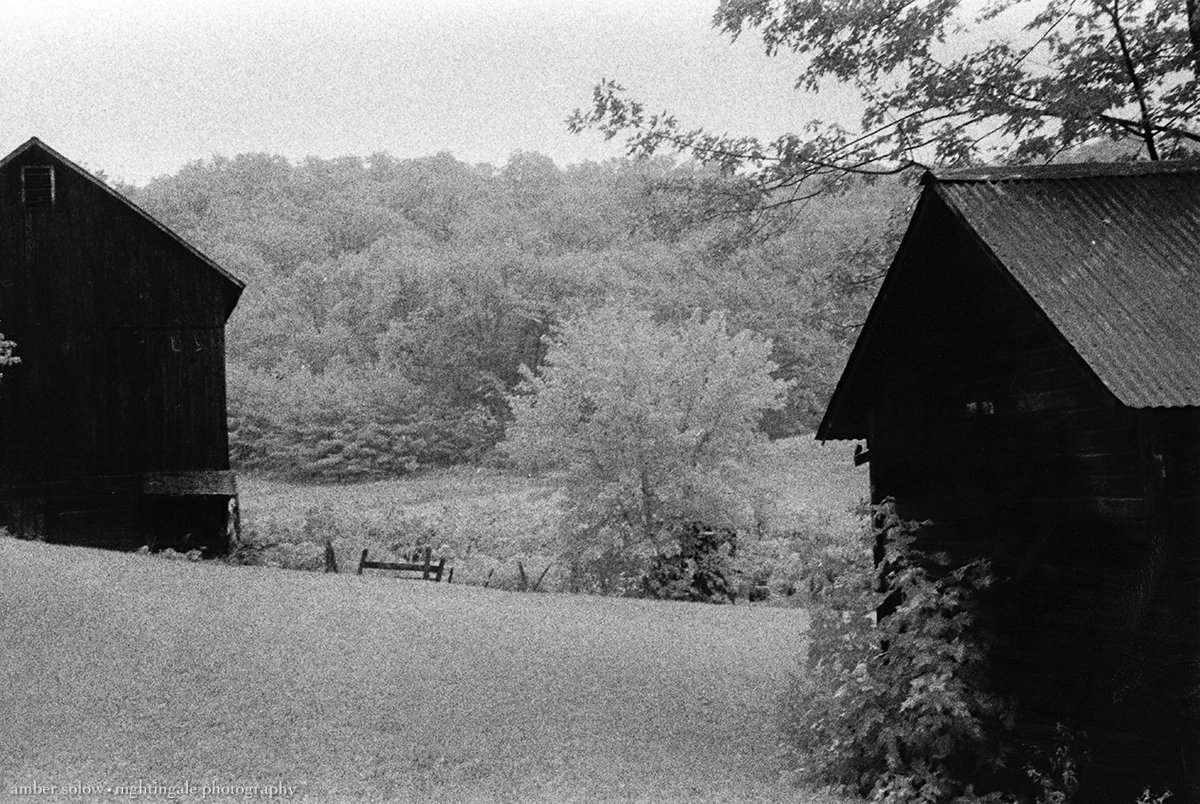 Barn and Shed