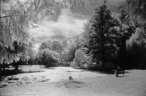 Woman Contemplating on a Pond's Edge