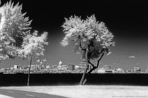 Bike Path on Lake Monona