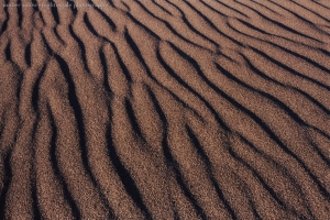 Sand in the Ocean Breeze