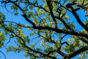 Winding Skyward