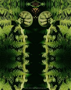 Fern Guardian