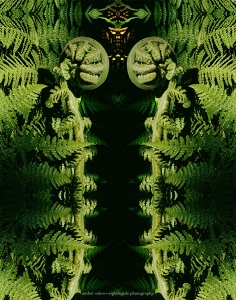 Fern Guardian