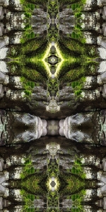Moss's Meditation