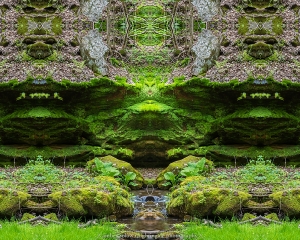 Emerald Envisioning