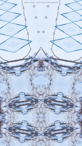 Winter Wonder